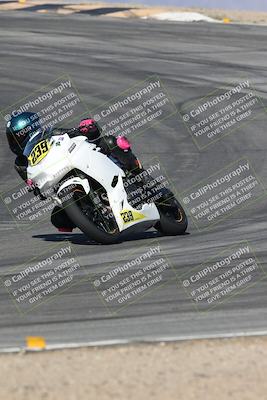 media/Nov-16-2025-Race Pace (Sun) [[8c5fa54630]]/Verified Riders/1-Turns 9 and 10 (925am)/